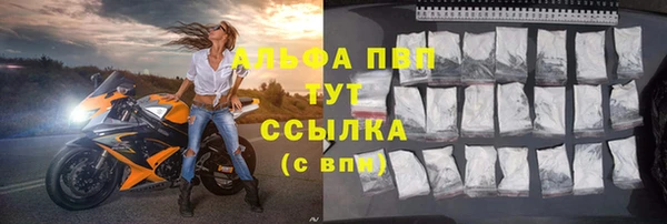 хмурый Абаза