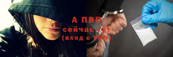 хмурый Абаза