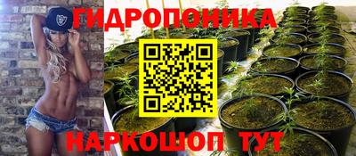 шишки Берёзовский