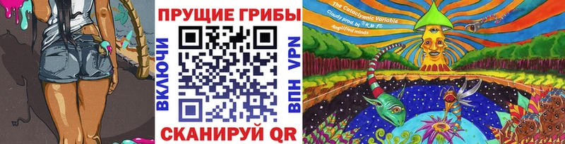 ссылка на мегу как зайти  нарко площадка клад  Галлюциногенные грибы мухоморы  Димитровград 